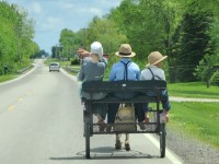 Amish Children