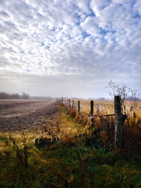 Frosty Morning