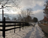 Snow day Lake Paradise