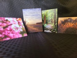 note_cards_landscapes_thumb.jpg