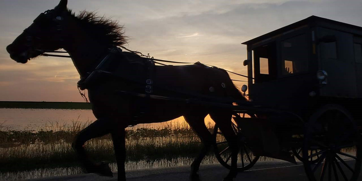 A close silhouette of an Amish horse and buggy