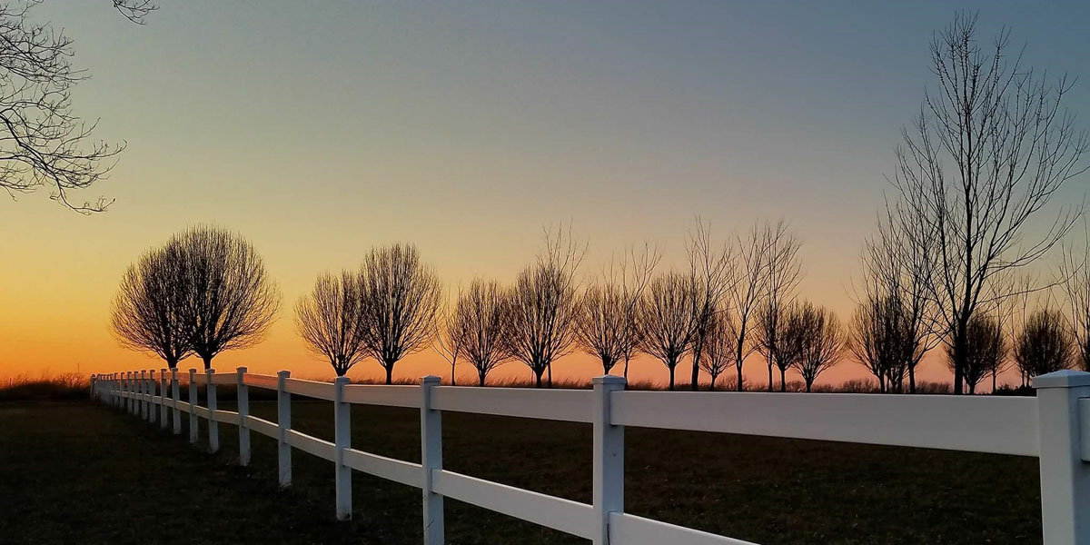 A white fence with a silhouette of trees at sunrise